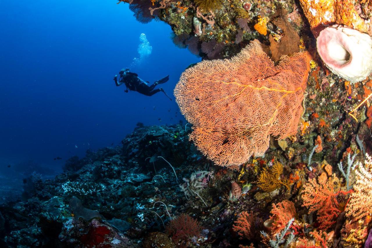 Manta Dive Gili Air Resort Экстерьер фото